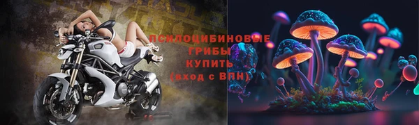 MDMA Premium VHQ Беломорск