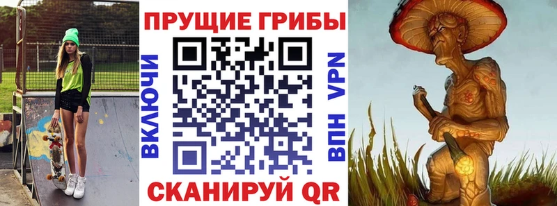 Купить где  Купино  Галлюциногенные грибы Psilocybe 